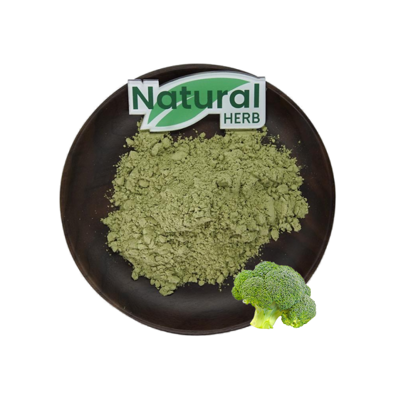 Broccoli Sprout Powder Supplier - Organic Wild-Cultivated Food Grade Vegetable Extract