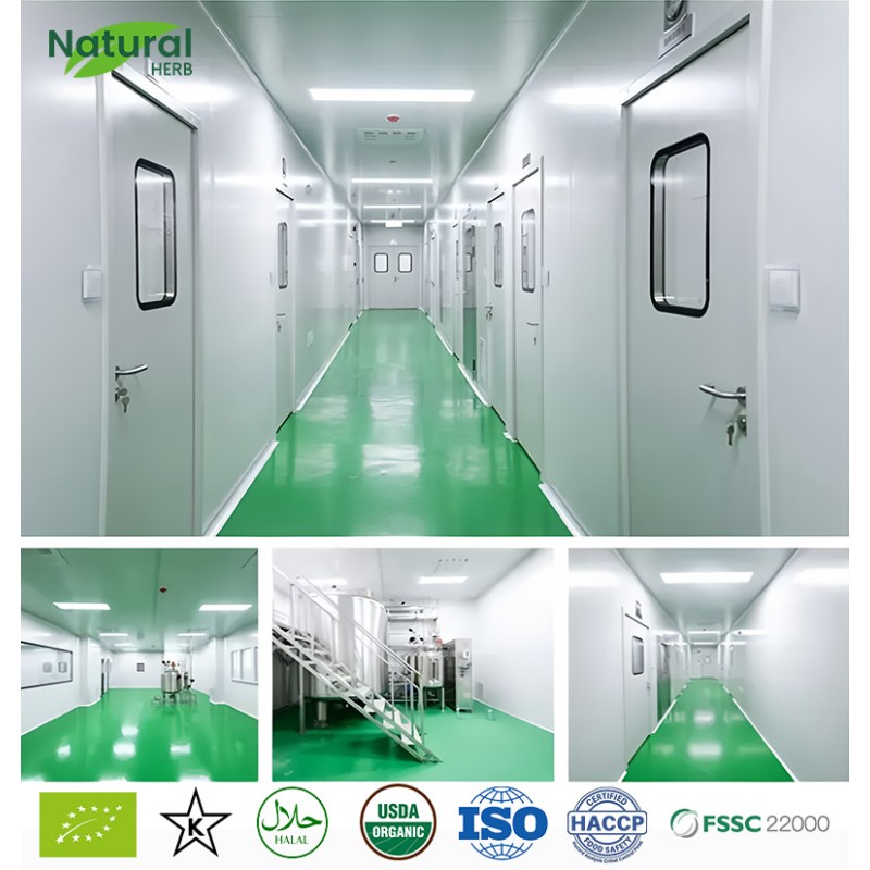 NAD+ Supplement Manufacturer - OEM High-Potency Liposomal for Adults Energy