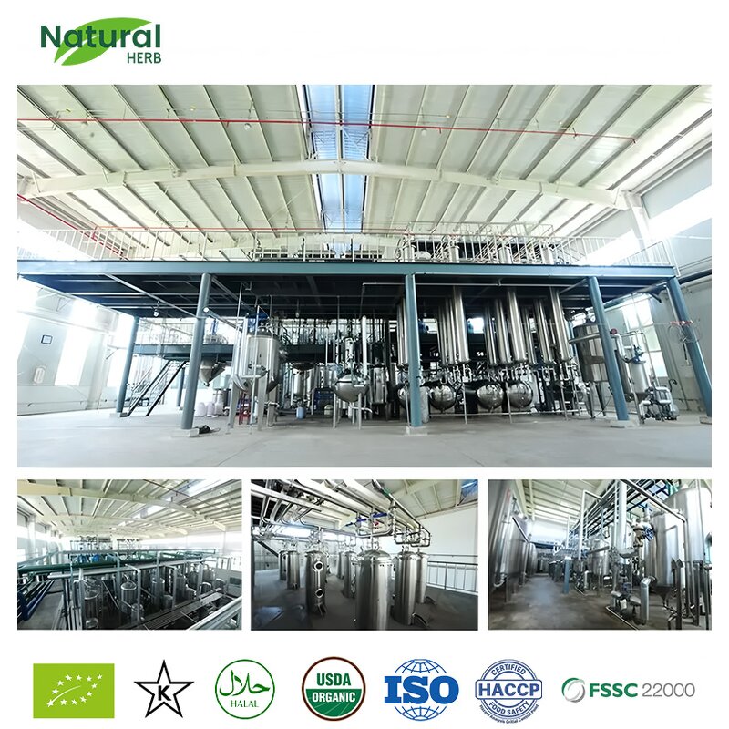 Avocado Powder Manufacturer - Hot Selling Natural Organic Food Grade