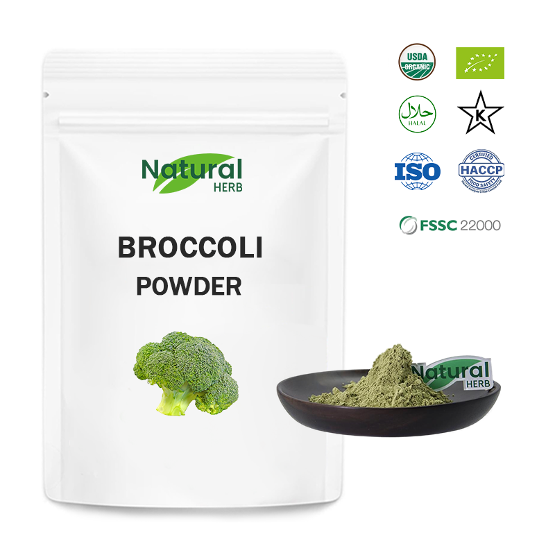 Broccoli Sprout Powder Supplier - Organic Wild-Cultivated Food Grade Vegetable Extract