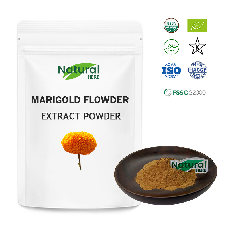 Marigold Extract Manufacturer - Factory Made Natural Organic Raw Materials