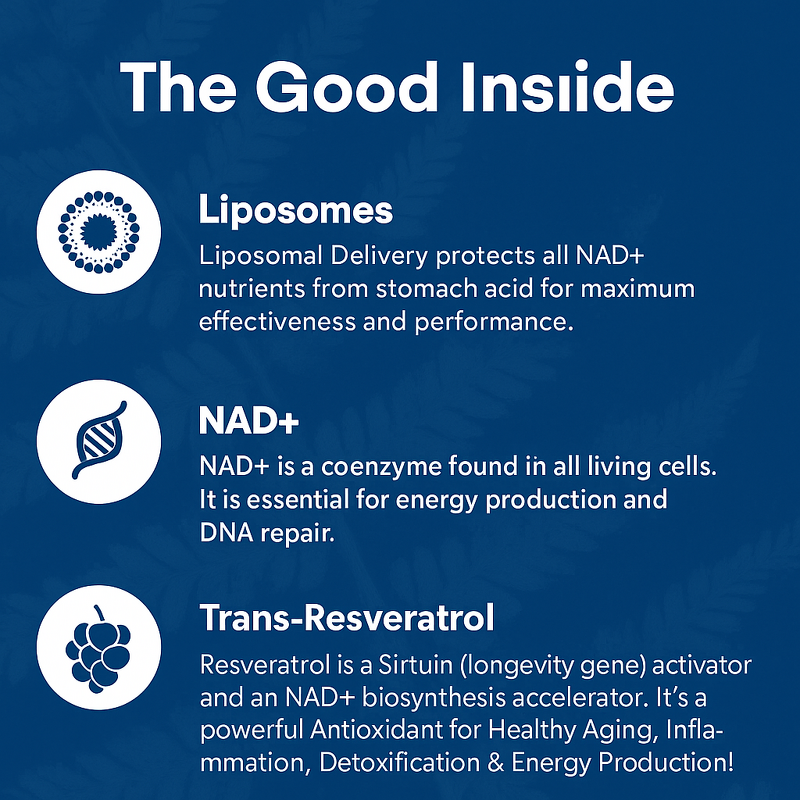 NAD+ Softgel Capsules Supplier - Hot Selling Nicotinamide Riboside Nucleosides