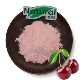 Cherry Powder Factory - High Quality Food Grade Instant Cherry Juice Powder