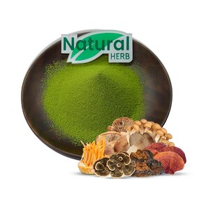 Matcha Powder Manufacturer - Wholesale Certified Organic Factory Direct Coffee Blend