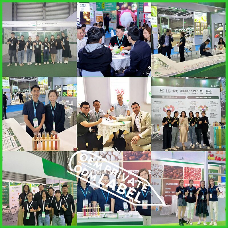 Oral Thin Film Manufacturer - Hot Sale OEM Creatine Monohydrate Supplement