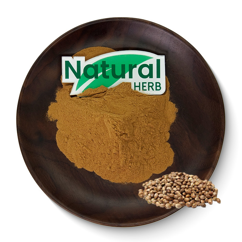 Flaxseed Extract Supplier - Top Food Grade Bulk Flax Lignans in Drum