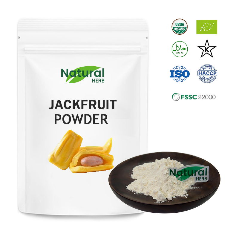 Jackfruit Powder Manufacturer - Hot Sale Organic Food Grade Fruit Extract