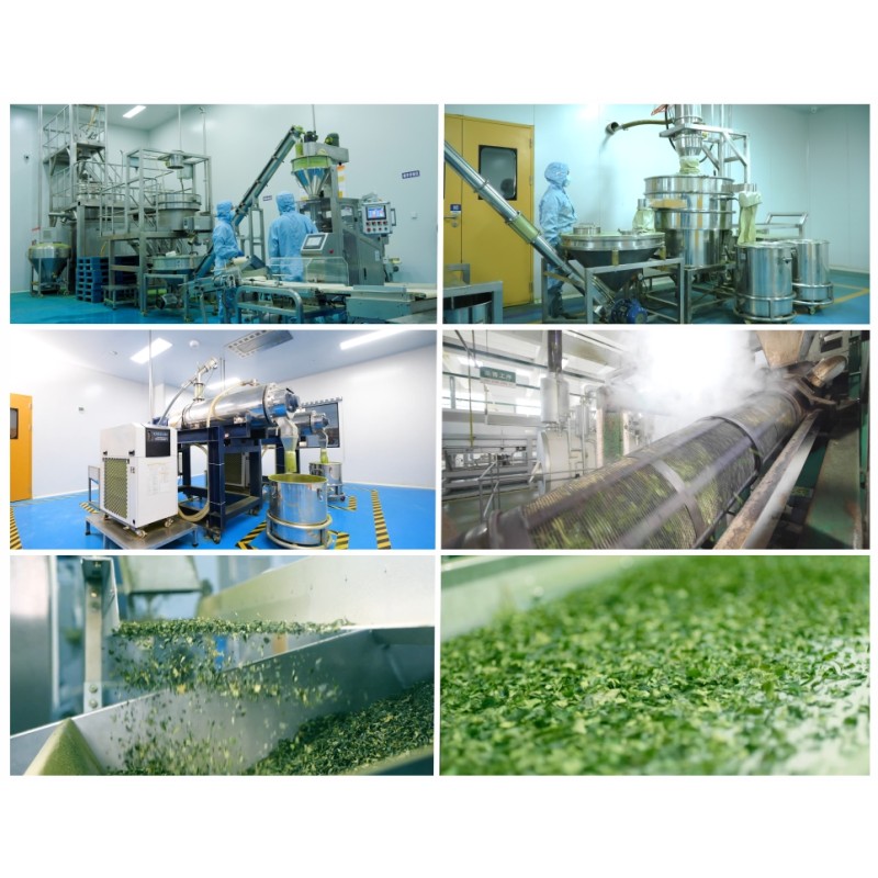 Matcha Powder Manufacturer - Wholesale Certified Organic Factory Direct Coffee Blend