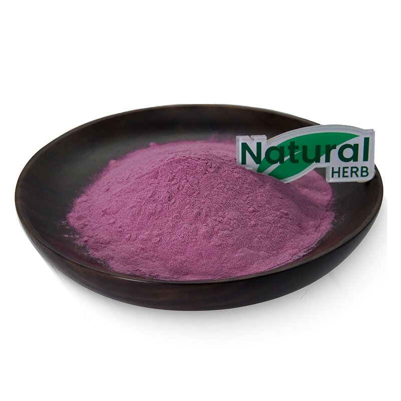 Cranberry Powder Manufacturer - Wholesale Bulk 100% Natural Concentrate Juice