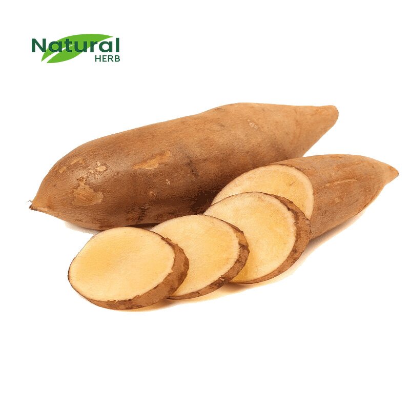 Yacon Powder Supplier - High Quality Low Calorie 100% Natural Concentrate