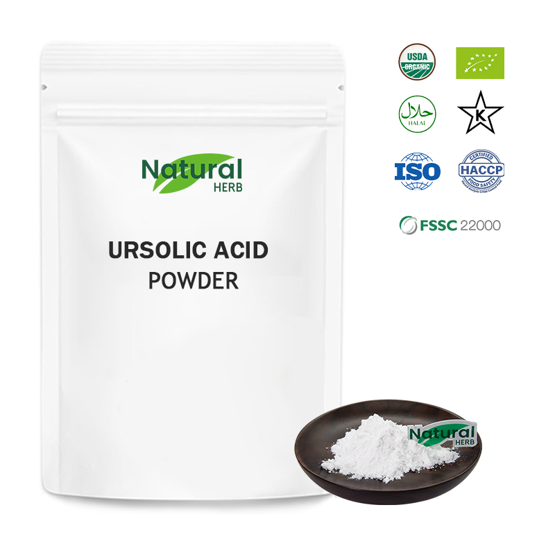 Ursolic Acid Powder Manufacturer - Pure 90% Herbal Extract from Loquat Leaf