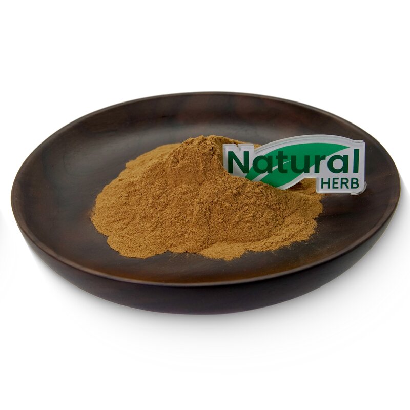 Tribulus Terrestris Extract Factory - High Quality Natural Herbal Extract Powder
