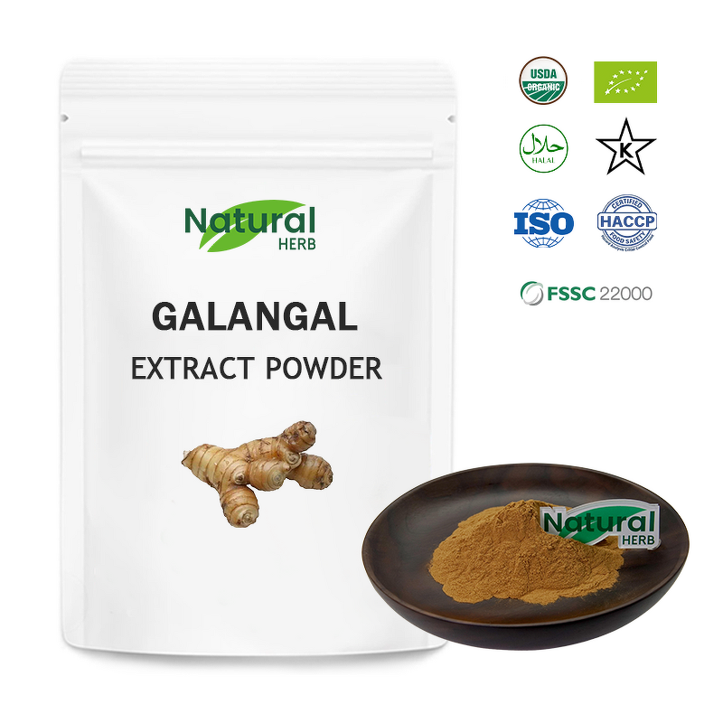 Galangal Root Extract Factory - Organic Dried Halal Certified Food Grade