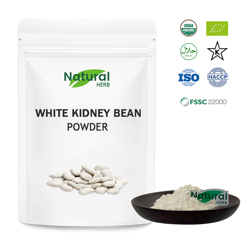 White Kidney Bean Extract Factory - Natural Food Grade 20000 Units/G in Drum