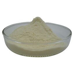 Whole Milk Powder Manufacturer - Food Grade New Zealand Milk Powder