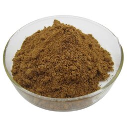 Tongkat Ali Extract Supplier - East Leather Ali Root Extract