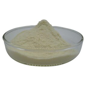 Resveratrol Powder Factory - Competitive Price Trans Resveratrol CAS