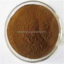 Corydalis Extract Supplier - High Quality Yanhusuo Extract 20:1 Powder