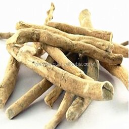 Ashwagandha Extract Factory - South Africa Drunk Eggplant Withania Somnifera