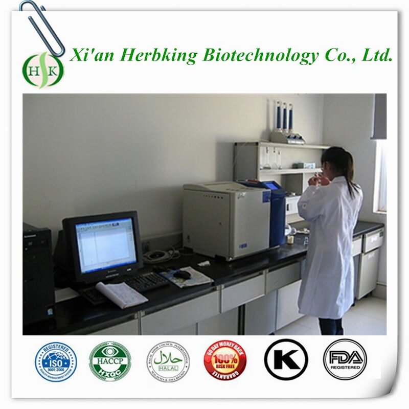 Calcium AKG Powder Factory - Organic Intermediate Calcium 2-Oxoglutarate CAS