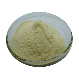Green Coffee Bean Extract Factory - Free Sample Chlorogenic Acid 25% Powder