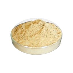 Corosolic Acid Factory - 10% HPLC Banaba Leaf Extract CAS 4547-24-4