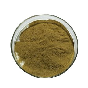 Green Coffee Bean Extract Manufacturer - Weight Loss 60% Chlorogenic Acid