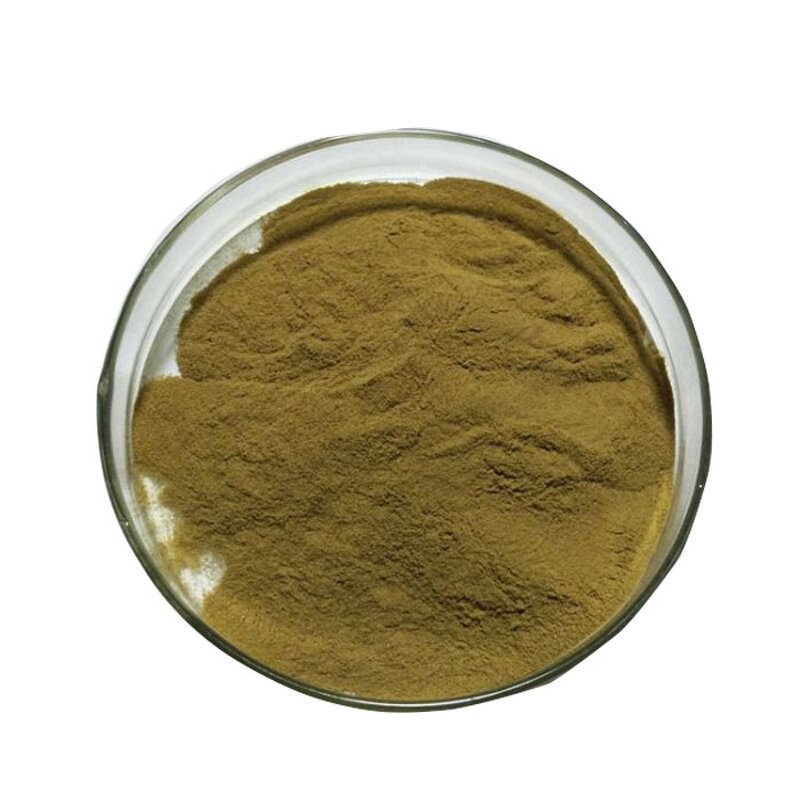 Green Coffee Bean Extract Manufacturer - Weight Loss 60% Chlorogenic Acid