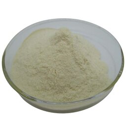 Royal Jelly Powder Supplier - Health Care Product Lyophilized Royal Jelly