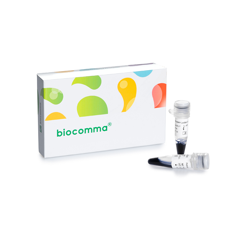 Biocomma Broad Molecular Weight Color 250ul 2.6-40kDa Prestained  Protein Marker Ladder Prestained Protein  Ladder