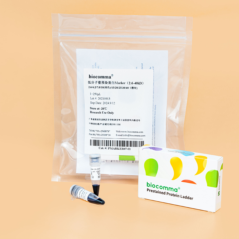 Biocomma 250 Microlitre Colorful 10-250kDa Prestained Protein Ladder  for Nucleic Acid Electrophoresis Analysis Reagent
