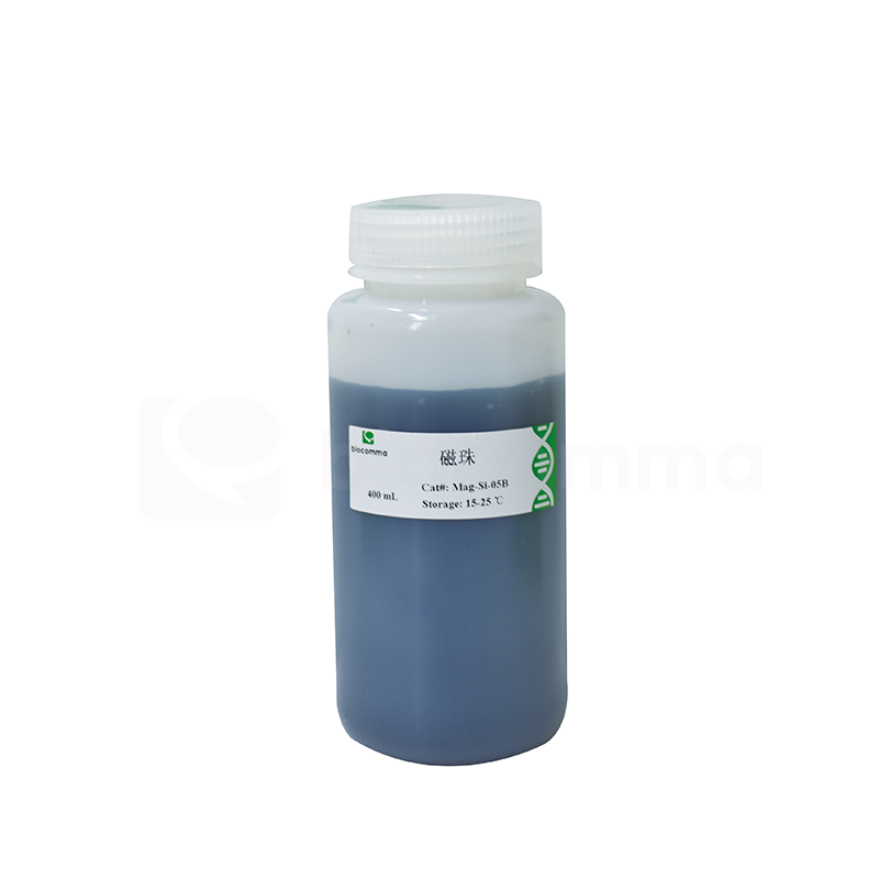 25um Hydroxyl Magnetic Beads for Protein Purification