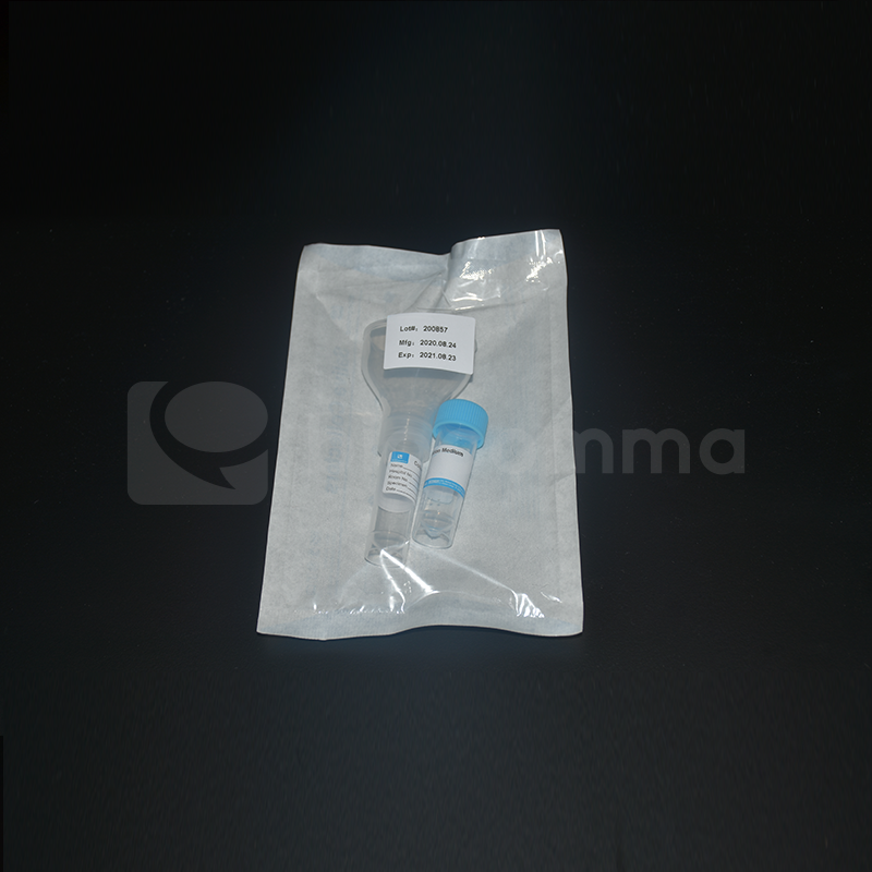 Biocomma  Factory Supply  Disposable Saliva Collector with Funnel /5ml Tube  for DNA RNA Extraction