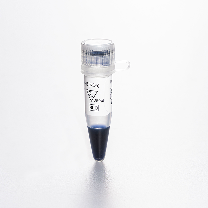 Biocomma Broad Molecular Weight Color 250ul 2.6-40kDa Prestained  Protein Marker Ladder Prestained Protein  Ladder