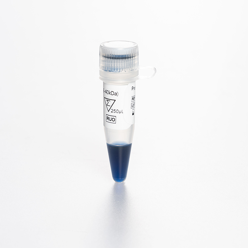 Biocomma Broad Molecular Weight Color 250ul 2.6-40kDa Prestained  Protein Marker Ladder Prestained Protein  Ladder