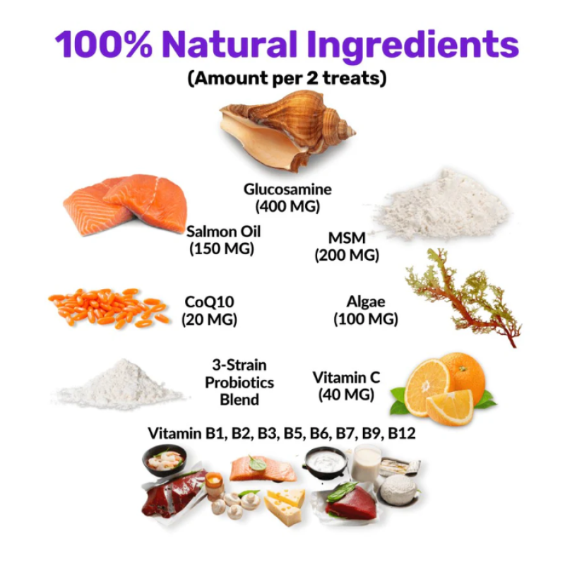 Pet Multivitamin Chews Supplier - OEM 8-in-1 with Glucosamine Salmon Oil