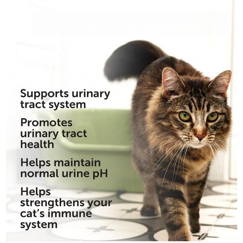 Cat Urinary Tract Chews Manufacturer - Wholesale Cranberry Health Support Supplements