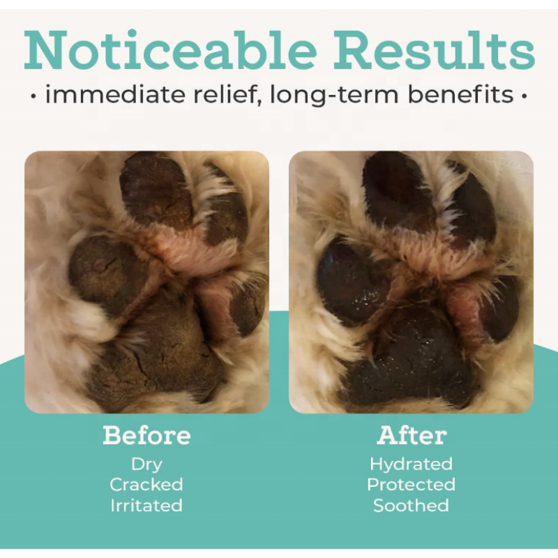 Paw Balm for Pets Manufacturer - OEM/ODM Vitamin E Aloe Natural Paw Protection