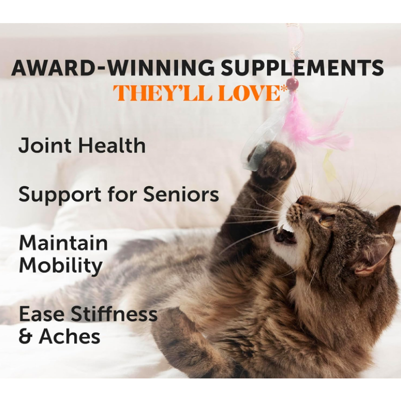 Cat Hip & Joint Chews Supplier - Custom Glucosamine Joint Support Free Samples