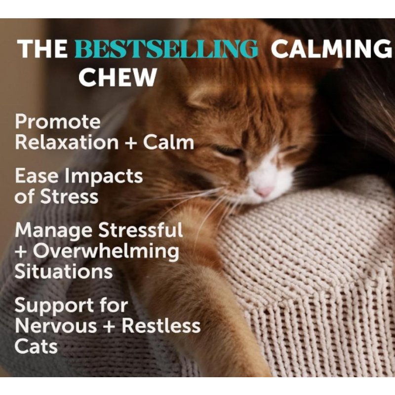 Cat Calming Chews Factory - OEM/ODM Anxiety Relief Stress Reduction Supplement