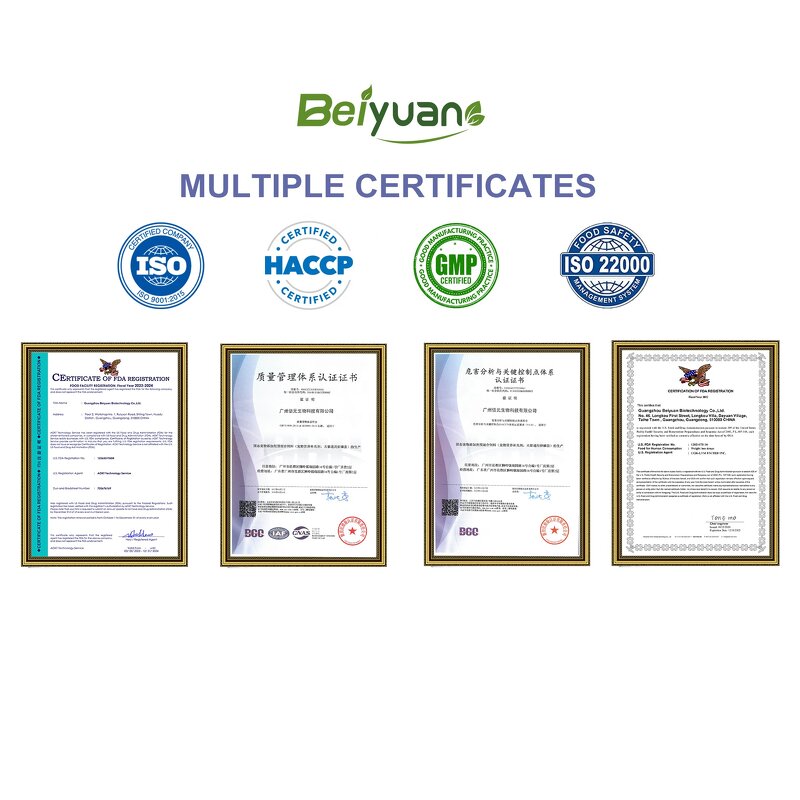 Salmon Oil for Dogs with Pump Factory - OEM Wild Salmon Omega 3 Joint Coat