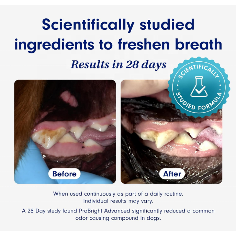 Pet Dental Powder Supplement Supplier - OEM/ODM Dental Hygiene Fresh Breath