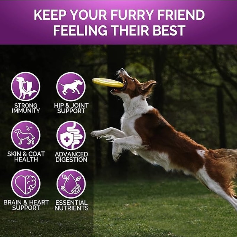 Dog Multivitamin Chews Supplier - OEM/ODM Glucosamine Salmon Oil Soft Chews