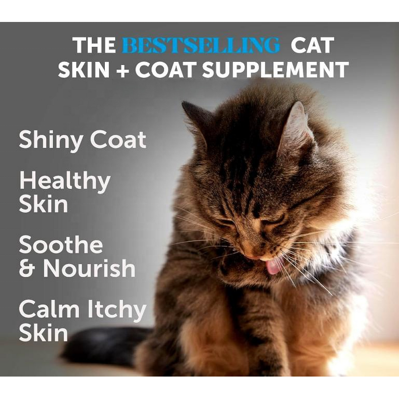 Cat Skin & Coat Chews Factory - OEM/ODM Omega Fatty Acids for Shiny Coat