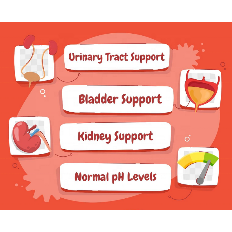 Cranberry for Dogs Chews Manufacturer - OEM/ODM Urinary Tract Bladder Support