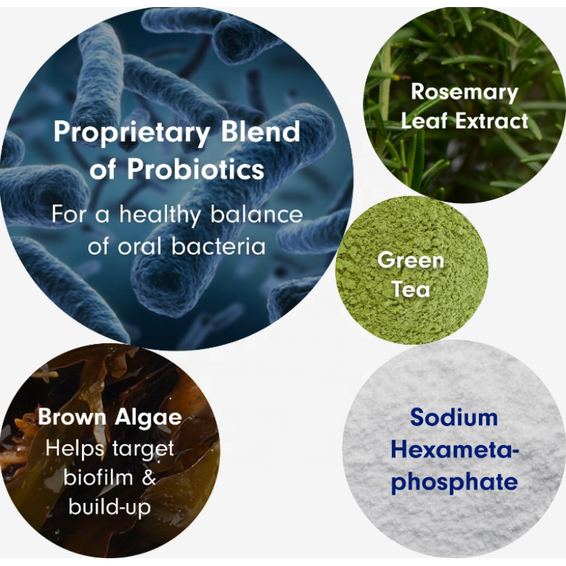 Pet Dental Powder Supplement Supplier - OEM/ODM Dental Hygiene Fresh Breath