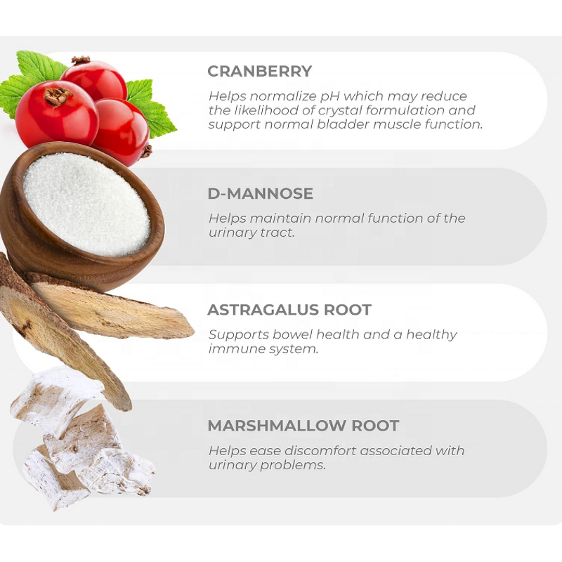 Cranberry for Dogs Chews Manufacturer - OEM/ODM Urinary Tract Bladder Support