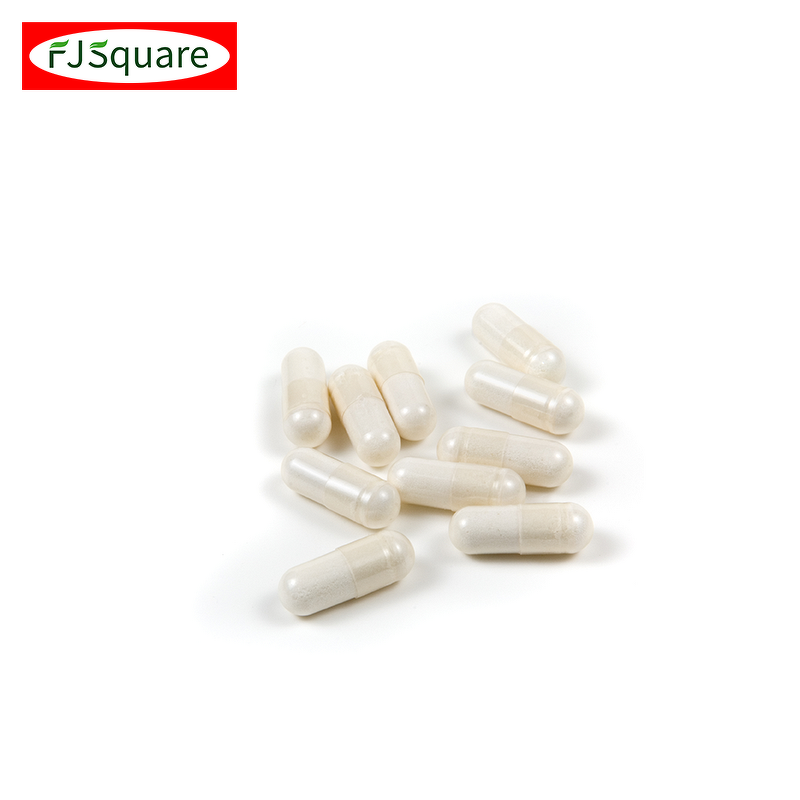 Ginkgo Biloba Extract Capsules Supplier - Superior Quality Bulk Brain Wellness