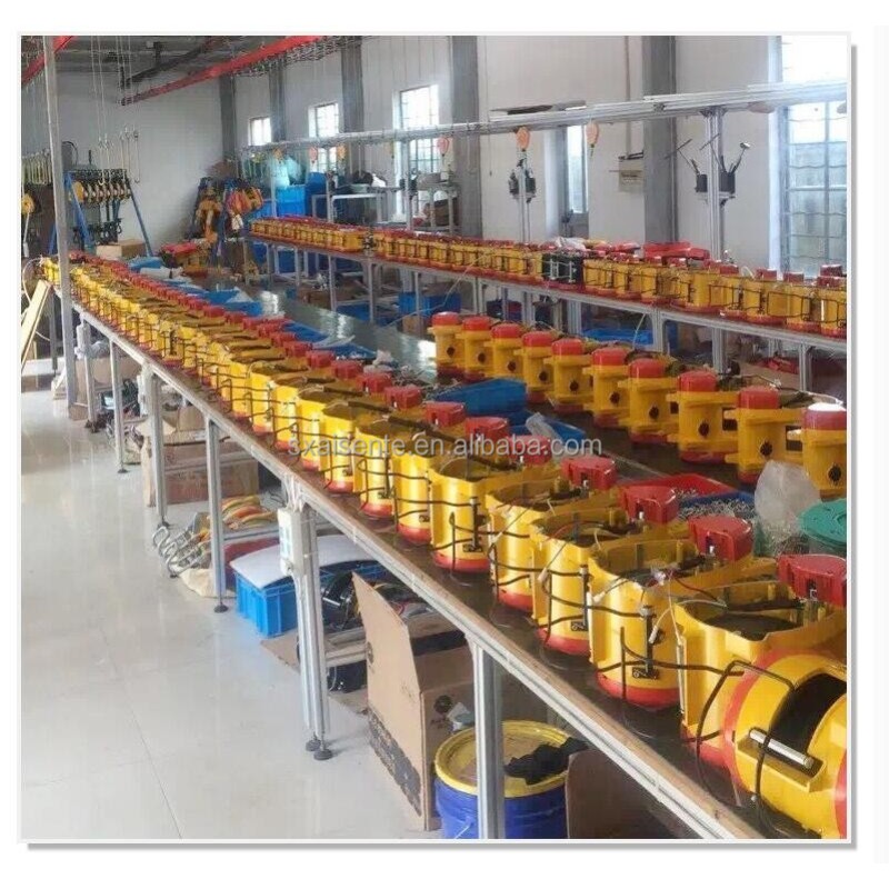 Electric Hoist Supplier - 500KG 30m Hang Type High Speed Mini
