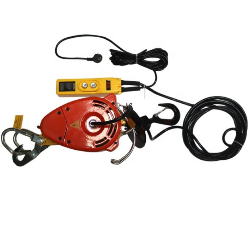 Electric Hoist Manufacturer - 230KG 30m Hang Type High Speed Mini